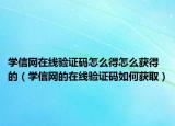 学信网在线验证码怎么得怎么获得的（学信网的在线验证码如何获取）