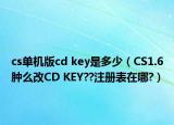 cs单机版cd key是多少（CS1.6肿么改CD KEY??注册表在哪?）