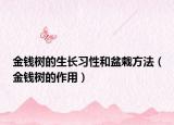 金钱树的生长习性和盆栽方法（金钱树的作用）