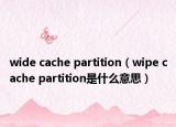wide cache partition（wipe cache partition是什么意思）