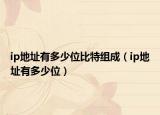 ip地址有多少位比特组成（ip地址有多少位）