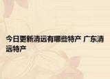 今日更新清远有哪些特产 广东清远特产