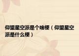 仰望星空派是个啥梗（仰望星空派是什么梗）