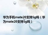华为手机mate20支持5g吗（华为mate20支持5g吗）