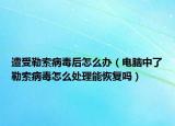 遭受勒索病毒后怎么办（电脑中了勒索病毒怎么处理能恢复吗）