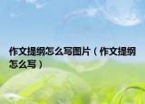 作文提纲怎么写图片（作文提纲怎么写）