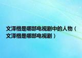 文泽楷是哪部电视剧中的人物（文泽楷是哪部电视剧）