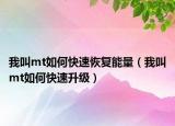 我叫mt如何快速恢复能量（我叫mt如何快速升级）