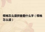桎梏怎么读拼音是什么字（桎梏怎么读）