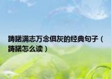 踌躇满志万念俱灰的经典句子（踌躇怎么读）