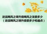 逆战飓风之锤升级飓风之龙要多少（逆战飓风之锤升级要多少枪魂点）