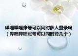 哔哩哔哩账号可以同时多人登录吗（哔哩哔哩账号可以同时登几个）