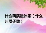 什么叫质量体系（什么叫质子数）