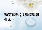 杨贵妃图片（杨贵妃叫什么）