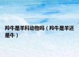 羚牛是羊科动物吗（羚牛是羊还是牛）