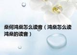 燊何鸿燊怎么读音（鸿燊怎么读 鸿燊的读音）