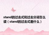 stand的过去式和过去分词怎么读（stand的过去式是什么）