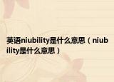 英语niubility是什么意思（niubility是什么意思）