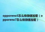 opporeno5怎么给微信加密（opporeno7怎么给微信加密）