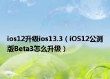 ios12升级ios13.3（iOS12公测版Beta3怎么升级）