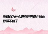 我明白为什么坦克世界现在如此停滞不前了