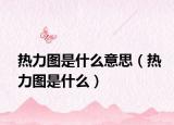 热力图是什么意思（热力图是什么）
