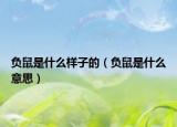 负鼠是什么样子的（负鼠是什么意思）