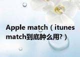 Apple match（itunes match到底肿么用?）