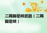 二踢脚是啥武器（二踢脚是啥）