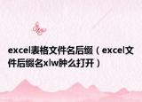 excel表格文件名后缀（excel文件后缀名xlw肿么打开）