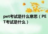 pet考试是什么意思（PET考试是什么）