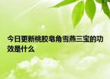 今日更新桃胶皂角雪燕三宝的功效是什么