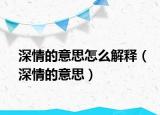 深情的意思怎么解释（深情的意思）