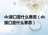 dc接口是什么意思（dc接口是什么意思）