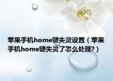 苹果手机home键失灵设置（苹果手机home键失灵了怎么处理?）