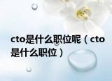 cto是什么职位呢（cto是什么职位）