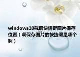 windows10截屏快捷键图片保存位置（啊保存图片的快捷键是哪个啊）