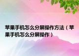 苹果手机怎么分屏操作方法（苹果手机怎么分屏操作）