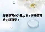 存储器可分为几大类（存储器可分为哪两类）