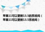苹果11可以更新13.5的系统吗（苹果11可以更新13.5系统吗）