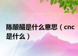 陈酿醋是什么意思（cnc是什么）