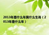 2013年是什么年属什么生肖（2013年是什么年）