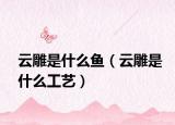 云雕是什么鱼（云雕是什么工艺）