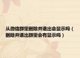 从微信群里删除并退出会显示吗（删除并退出群里会有显示吗）
