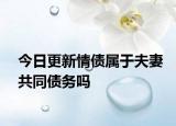 今日更新情债属于夫妻共同债务吗