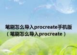 笔刷怎么导入procreate手机版（笔刷怎么导入procreate）