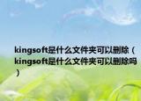 kingsoft是什么文件夹可以删除（kingsoft是什么文件夹可以删除吗）