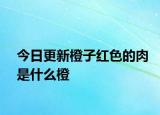 今日更新橙子红色的肉是什么橙