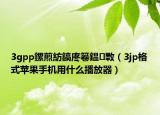 3gpp鏍煎紡鎬庝箞鎾斁（3jp格式苹果手机用什么播放器）