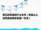 真正的凤凰指什么生肖（凤凰山上没凤凰徒有虚名猜一生肖）
